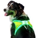 noxgear LightHound Light Up Reflective Dog Harness, Large | 360° Light Up Reflective Dog Harness, 8 Colors & 6 Modes, US
