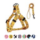 QQPETS Dog Harness Leash Set Adjustable Heavy Duty No Pull Halter Harnesses for Small Medium Large Breed Dogs Back Clip 