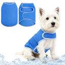PUPTECK Dog Cooling Vest, Breathable Mesh PVA Dog Shirt, Lightweight Soft Instant Chill Sleeveless Pet Clothes, Adjustab