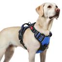 rabbitgoo Dog Harness for Large, Updated Easy On & Off with 3 Buckles | No Pull No Choke, Walking with 2 Clips and Handl